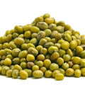 Mung Bean